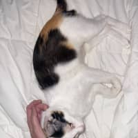 Photo of Moira