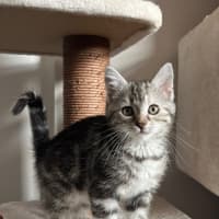 Photo of Sage