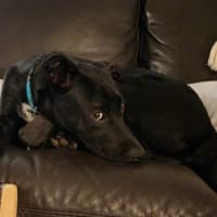 Photo of Cash