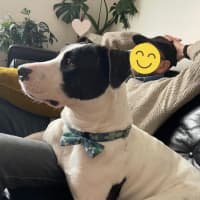 Photo of Poco 
