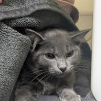 Photo of 💙 Misha 6699 💙