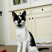 Photo of Daisy