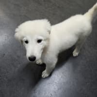 Photo of Frosty