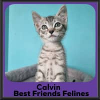 Photo of Calvin