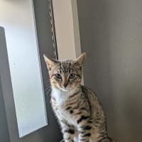Photo of Luka
