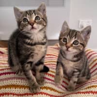 Photo of Daphne 🌻