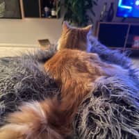 Photo of Jinji