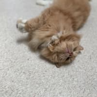 Photo of Garth (0030)