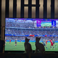 Photo of Fred & George (Aka Quentin & Quigley)