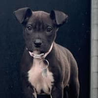 Photo of Mrs Scrubitt