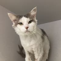 Photo of Steve