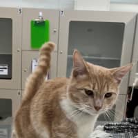 Photo of Floyd (0203)