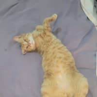 Photo of Nobby