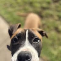 Photo of Frankie