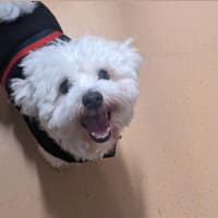Photo of Max