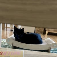 Photo of Neo