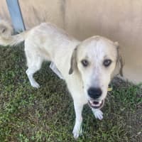 Photo of Delilah 