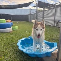 Photo of Zena