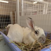 Photo of Samantha & Eddi