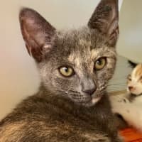 Photo of Monte Carlo