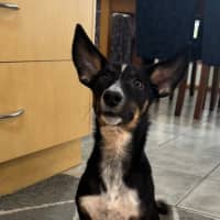 Photo of Tammy