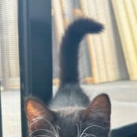 Photo of Sprout