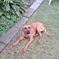 Photo of Shanti