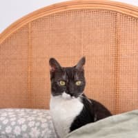 Photo of Maggie