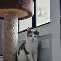 Photo of Jessica 