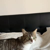 Photo of Lenny