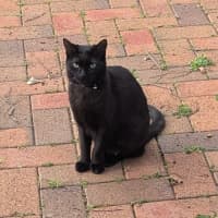 Photo of Emmy