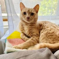 Photo of Abigail   Located In Fairfield