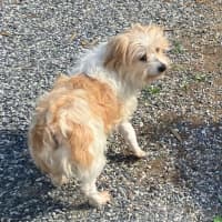 Photo of Sweetie Aka Suzi