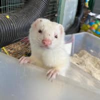 Photo of Wylie & Snot