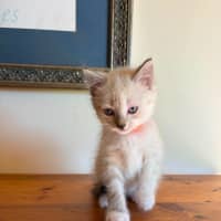 Photo of Tracey