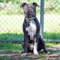 Photo of Nautica