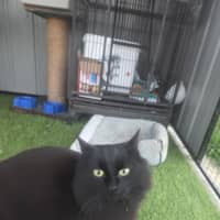 Photo of Wednesday
