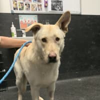 Photo of Duke
