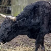 Photo of Miss Gerri & Jack