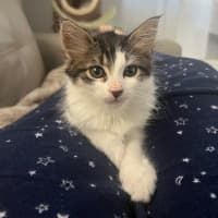 Photo of Audrey 💕