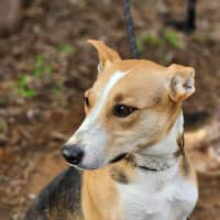 Photo of 🌼 Daisy 6367 🌼