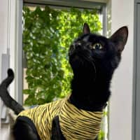 Photo of 🍱 Inari 6303 🍱