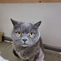 Photo of Misty