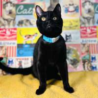 Photo of Eclipse   Located In Preston