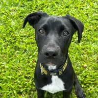 Photo of Parker 