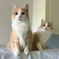 Photo of Tommy & Jerry