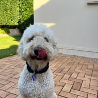 Photo of George And Bobby