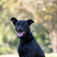 Photo of Zeus