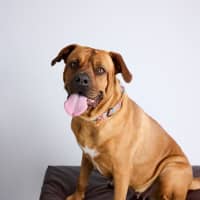 Photo of Zuri