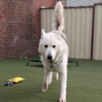 Photo of Storm